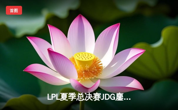 LPL夏季总决赛JDG鏖战五局力克BLG，369神级绕后锁定冠军荣耀